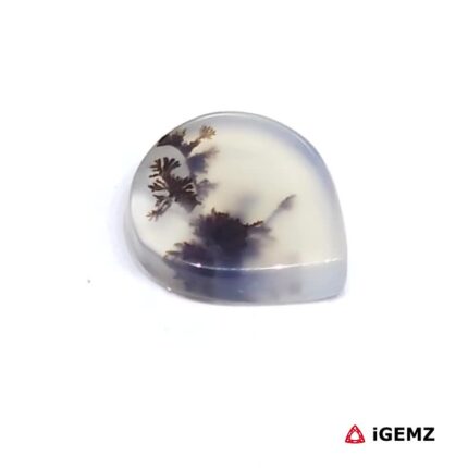 2.18 ct Brown Dendritic Agate - iGemz24462 gemstone for sale at igemz.co.za