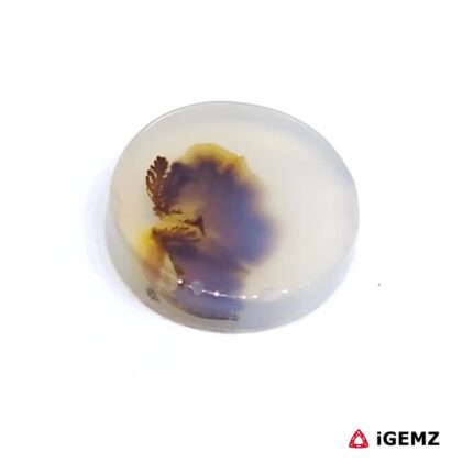 3.24 ct Brown Dendritic Agate - iGemz24463 gemstone for sale at igemz.co.za
