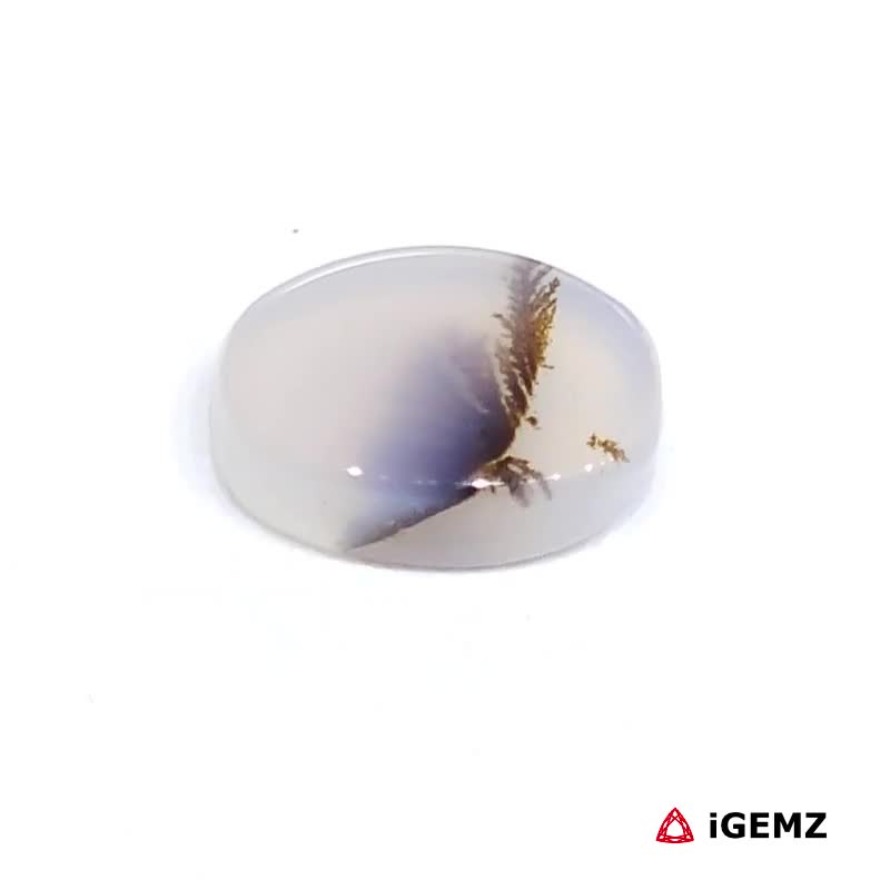 iGemz24464.1 2.42 ct Brown Dendritic Agate - iGemz24464 gemstone for sale at igemz.co.za
