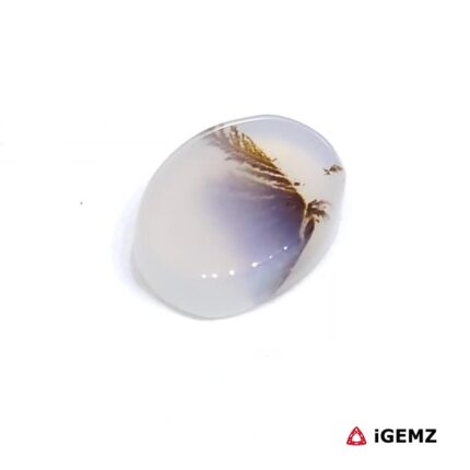2.42 ct Brown Dendritic Agate - iGemz24464 gemstone for sale at igemz.co.za