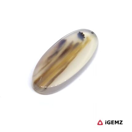 11.78 ct Brown Dendritic Agate - iGemz24467 gemstone for sale at igemz.co.za