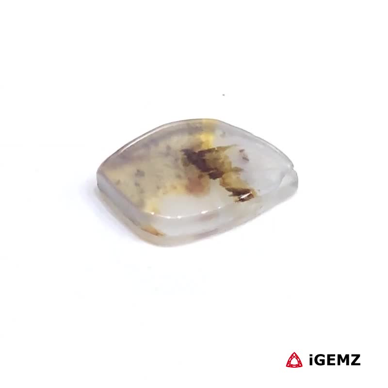 iGemz24468.1 1.58 ct Brown Dendritic Agate - iGemz24468 gemstone for sale at igemz.co.za