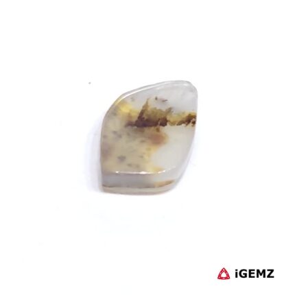 1.58 ct Brown Dendritic Agate - iGemz24468 gemstone for sale at igemz.co.za