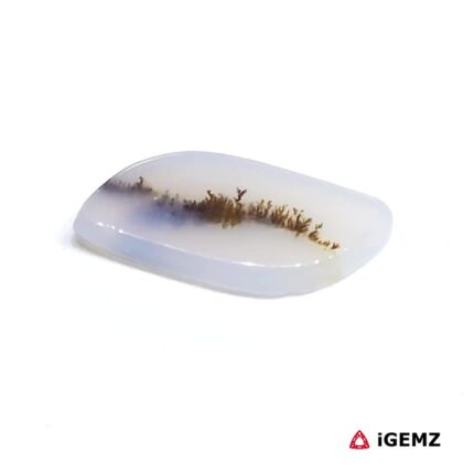 2.95 ct Brown Dendritic Agate - iGemz24470 gemstone for sale at igemz.co.za
