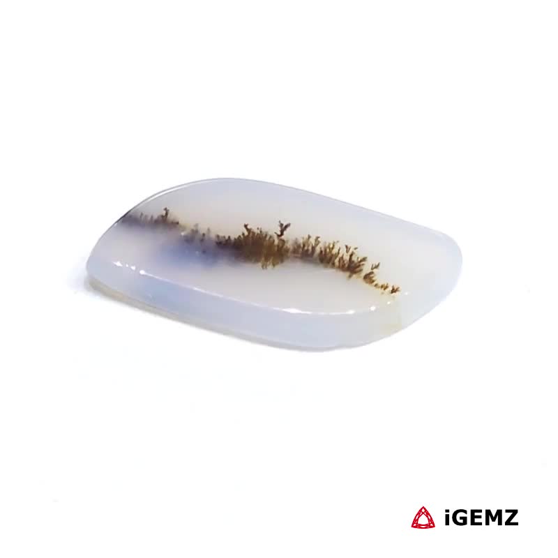 iGemz24470.1 2.95 ct Brown Dendritic Agate - iGemz24470 gemstone for sale at igemz.co.za