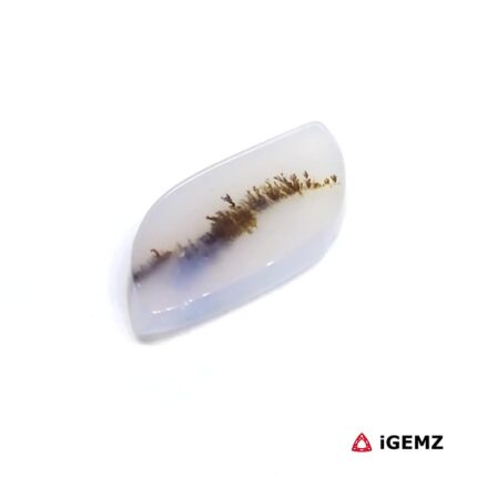 2.95 ct Brown Dendritic Agate - iGemz24470 gemstone for sale at igemz.co.za