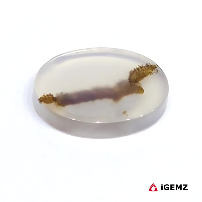 iGemz24471.1 3.71 ct Brown Dendritic Agate - iGemz24471 gemstone for sale at igemz.co.za