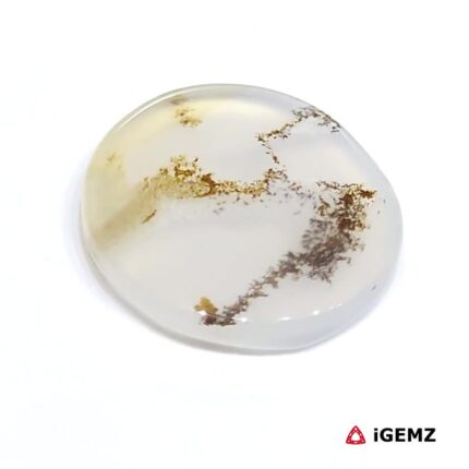 4.21 ct Brown Dendritic Agate - iGemz24473 gemstone for sale at igemz.co.za