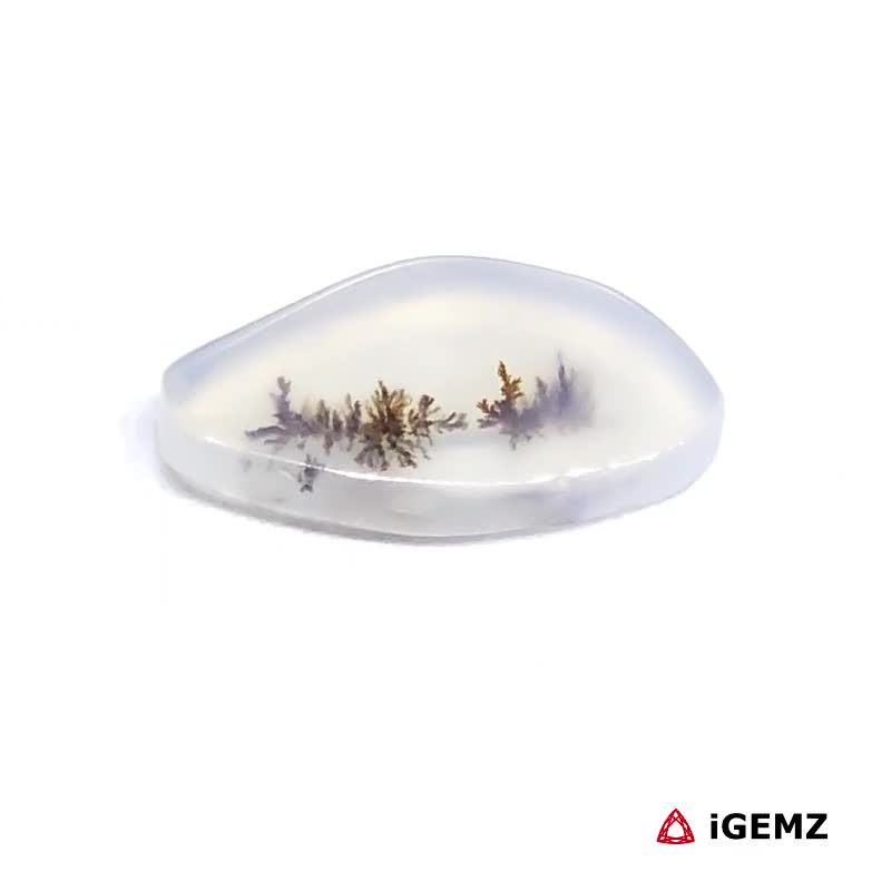 iGemz24475.1 1.92 ct Brown Dendritic Agate - iGemz24475 gemstone for sale at igemz.co.za