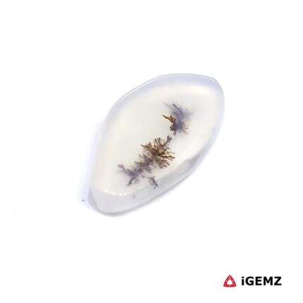 1.92 ct Brown Dendritic Agate - iGemz24475 gemstone for sale at igemz.co.za