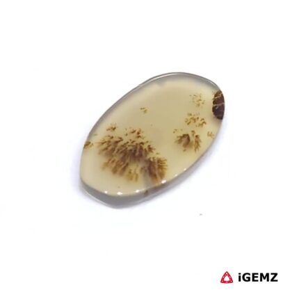 1.6 ct Brown Dendritic Agate - iGemz24476 gemstone for sale at igemz.co.za