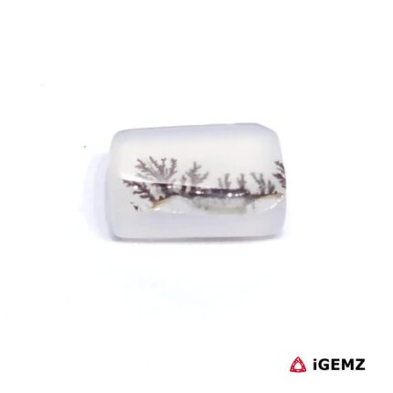 2.13 ct Brown Dendritic Agate - iGemz24479 gemstone for sale at igemz.co.za