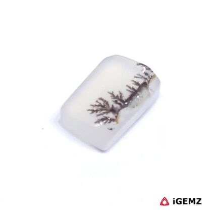 2.13 ct Brown Dendritic Agate - iGemz24479 gemstone for sale at igemz.co.za
