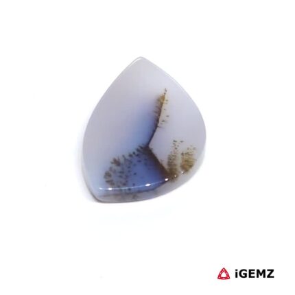 11.1 ct Brown Dendritic Agate - iGemz24482 gemstone for sale at igemz.co.za
