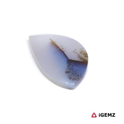 11.1 ct Brown Dendritic Agate - iGemz24482 gemstone for sale at igemz.co.za