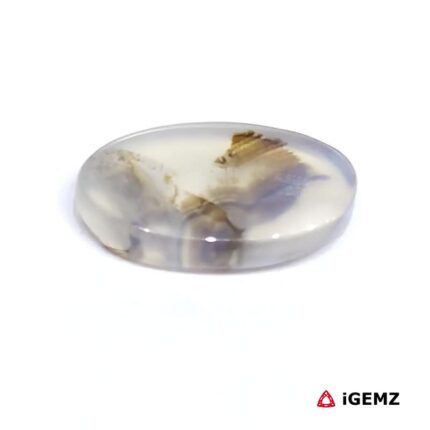 4.53 ct Brown Dendritic Agate - iGemz24483 gemstone for sale at igemz.co.za