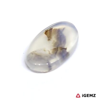 4.53 ct Brown Dendritic Agate - iGemz24483 gemstone for sale at igemz.co.za