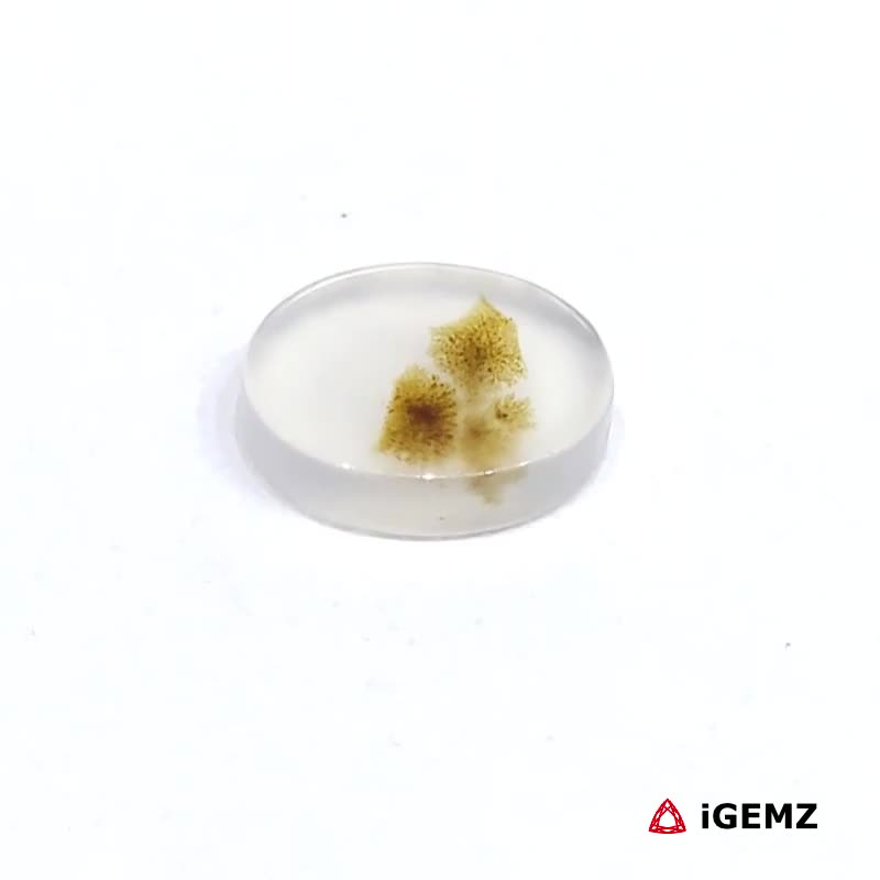 iGemz24489.1 1.44 ct Brown Dendritic Agate - iGemz24489 gemstone for sale at igemz.co.za