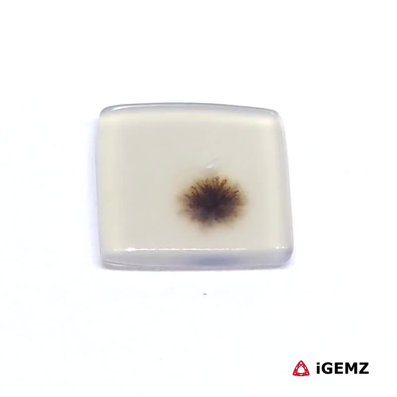 iGemz24490.1 2.15 ct Brown Dendritic Agate - iGemz24490 gemstone for sale at igemz.co.za