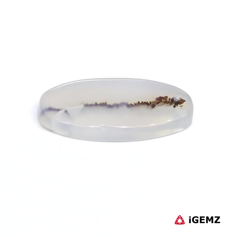 iGemz24491.1 7.85 ct Brown Dendritic Agate - iGemz24491 gemstone for sale at igemz.co.za