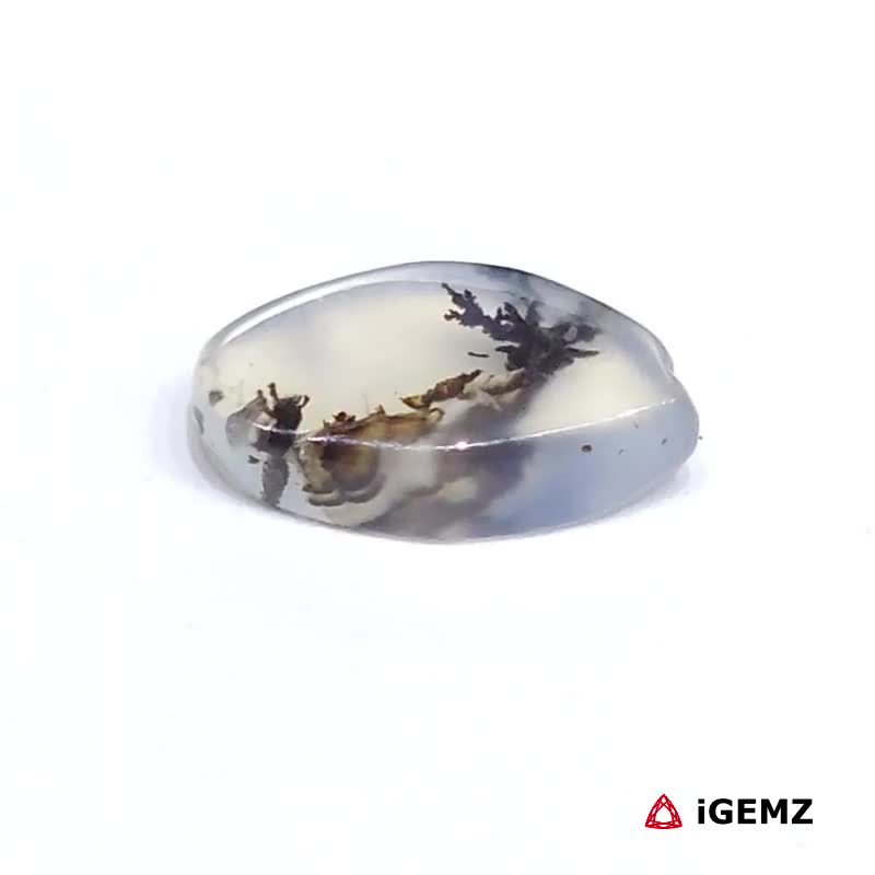 iGemz24492.1 2.43 ct Black Dendritic Agate - iGemz24492 gemstone for sale at igemz.co.za