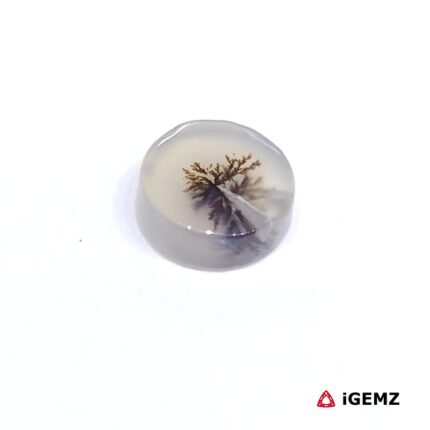 1.74 ct Brown Dendritic Agate - iGemz24493 gemstone for sale at igemz.co.za