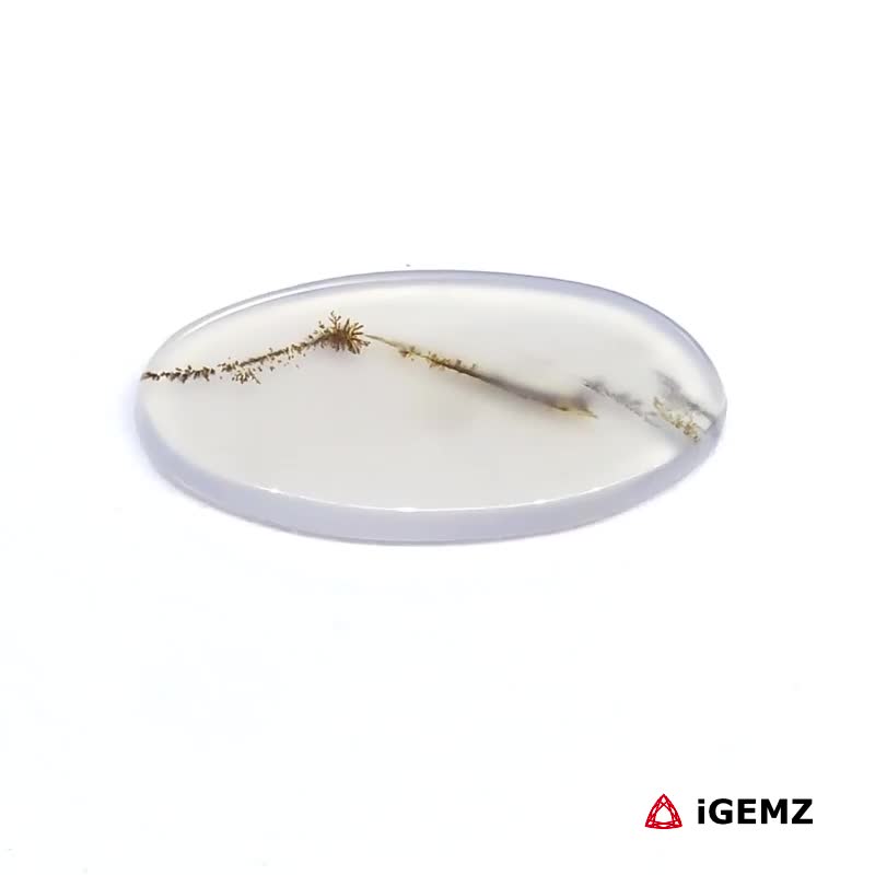 iGemz24495.1 3.91 ct Brown Dendritic Agate - iGemz24495 gemstone for sale at igemz.co.za