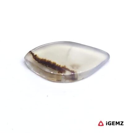 1.76 ct Brown Dendritic Agate - iGemz24496 gemstone for sale at igemz.co.za