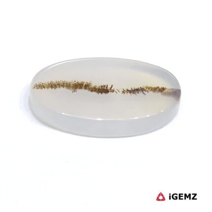 7.45 ct Brown Dendritic Agate - iGemz24497 gemstone for sale at igemz.co.za