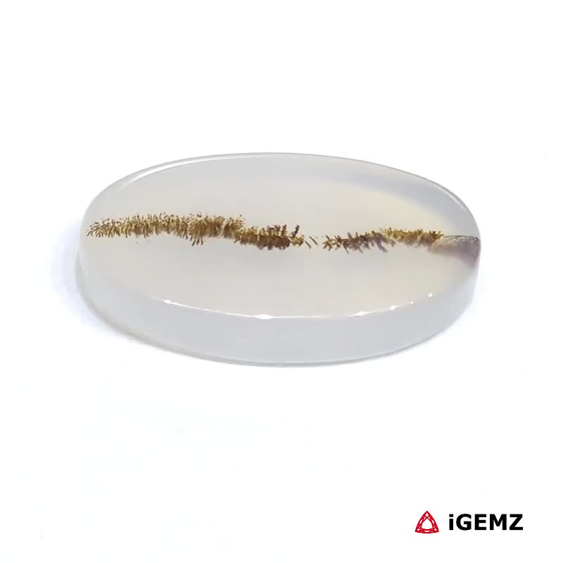 iGemz24497.1 7.45 ct Brown Dendritic Agate - iGemz24497 gemstone for sale at igemz.co.za