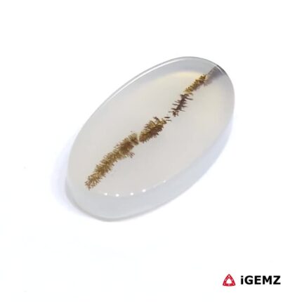7.45 ct Brown Dendritic Agate - iGemz24497 gemstone for sale at igemz.co.za