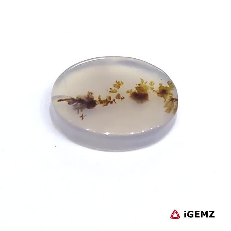 iGemz24498.1 2.88 ct Brown Dendritic Agate - iGemz24498 gemstone for sale at igemz.co.za
