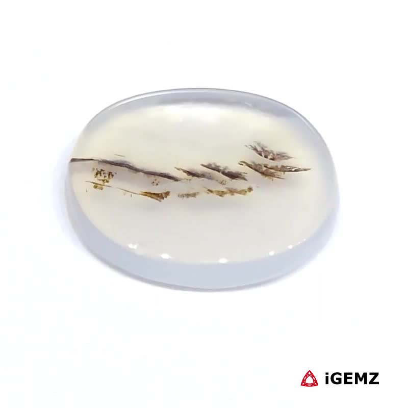 iGemz24499.1 4.43 ct Brown Dendritic Agate - iGemz24499 gemstone for sale at igemz.co.za