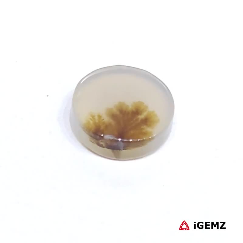 iGemz24500.1 2.17 ct Brown Dendritic Agate - iGemz24500 gemstone for sale at igemz.co.za