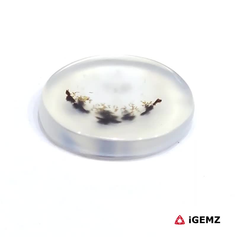 iGemz24501.1 6.24 ct Black Dendritic Agate - iGemz24501 gemstone for sale at igemz.co.za