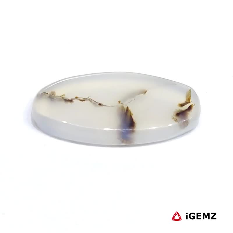 iGemz24503.1 5.24 ct Brown Dendritic Agate - iGemz24503 gemstone for sale at igemz.co.za
