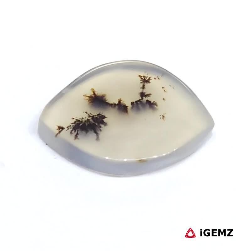 iGemz24504.1 3.62 ct Brown Dendritic Agate - iGemz24504 gemstone for sale at igemz.co.za