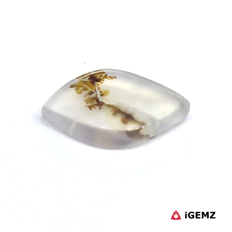iGemz24505.1 2.44 ct Brown Dendritic Agate - iGemz24505 gemstone for sale at igemz.co.za