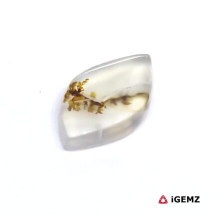 2.44 ct Brown Dendritic Agate - iGemz24505 gemstone for sale at igemz.co.za