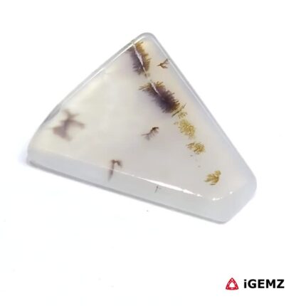 6.8 ct Brown Dendritic Agate - iGemz24507 gemstone for sale at igemz.co.za