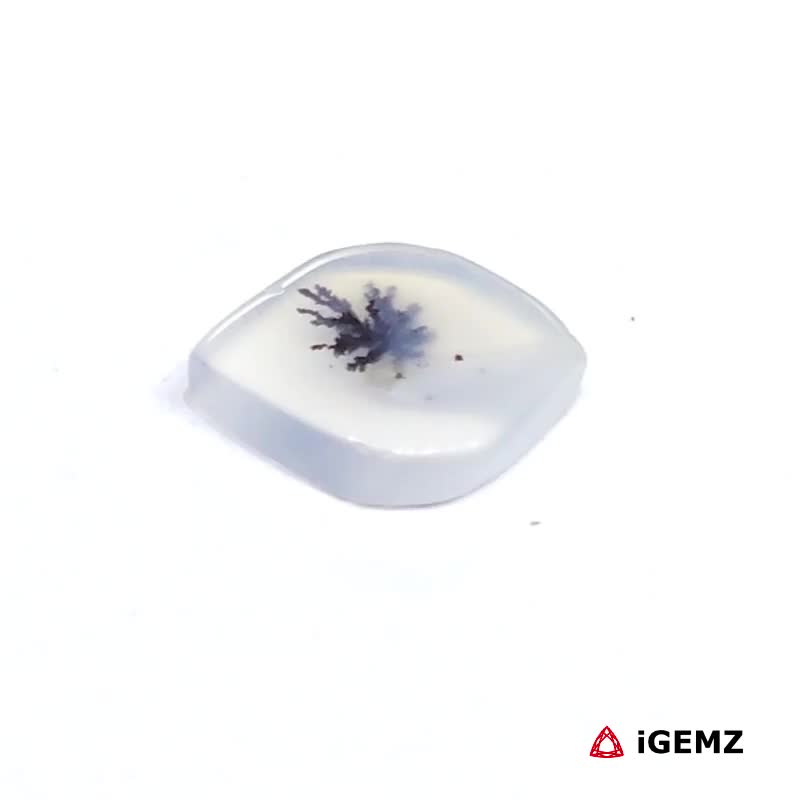 iGemz24508.1 1.55 ct Black Dendritic Agate - iGemz24508 gemstone for sale at igemz.co.za