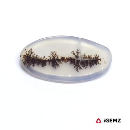 4.76 ct Brown Dendritic Agate - iGemz24509 gemstone for sale at igemz.co.za