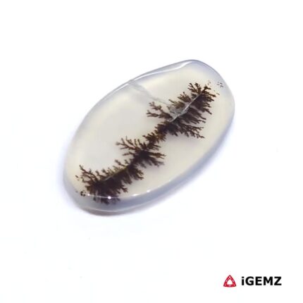 4.76 ct Brown Dendritic Agate - iGemz24509 gemstone for sale at igemz.co.za