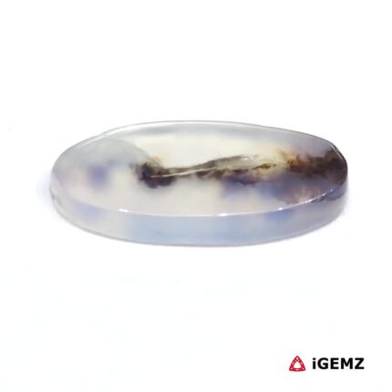 7.92 ct Brown Dendritic Agate - iGemz24511 gemstone for sale at igemz.co.za