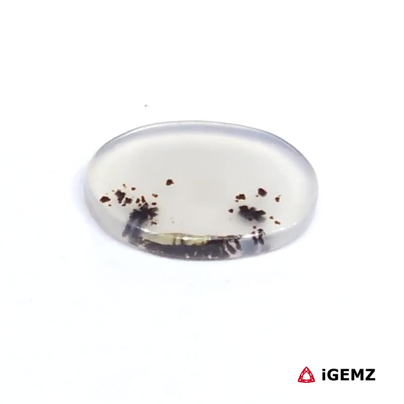 iGemz24513.1 1.85 ct Brown Dendritic Agate - iGemz24513 gemstone for sale at igemz.co.za