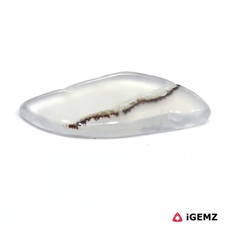 iGemz24514.1 8 ct Brown Dendritic Agate - iGemz24514 gemstone for sale at igemz.co.za
