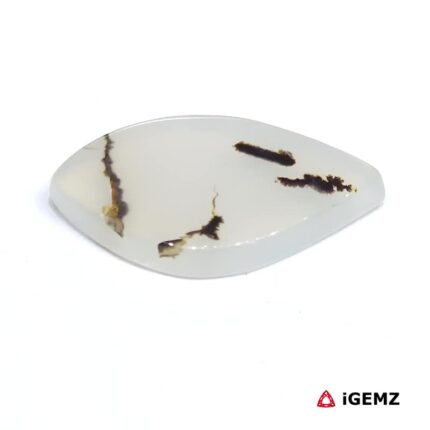 12.77 ct Brown Dendritic Agate - iGemz24516 gemstone for sale at igemz.co.za