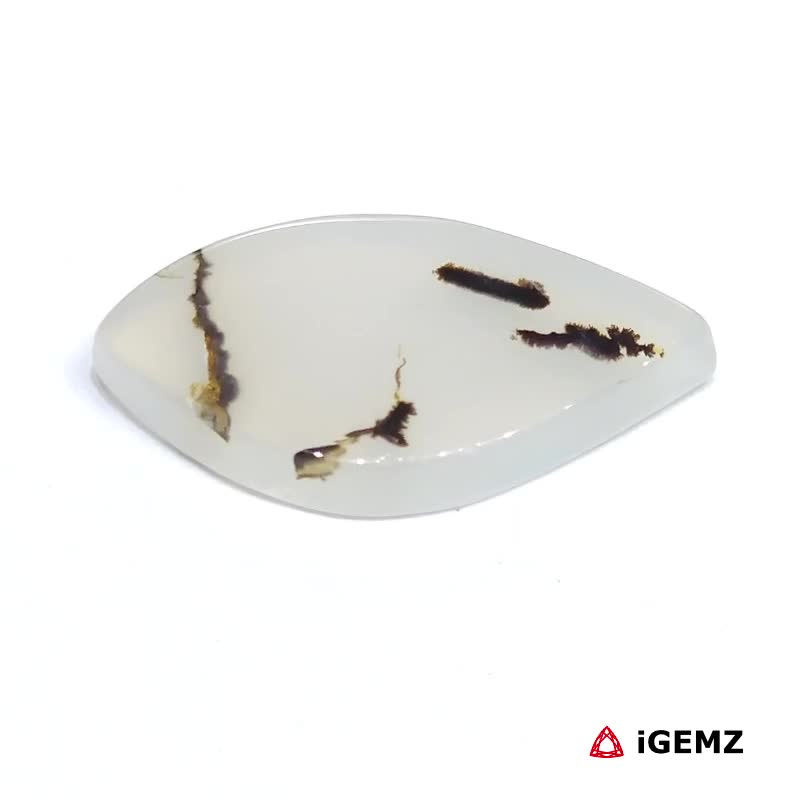 iGemz24516.1 12.77 ct Brown Dendritic Agate - iGemz24516 gemstone for sale at igemz.co.za