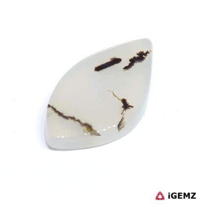 12.77 ct Brown Dendritic Agate - iGemz24516 gemstone for sale at igemz.co.za
