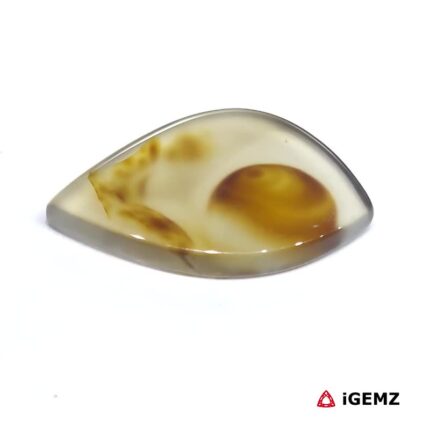 20 ct Brown Dendritic Agate - iGemz24517 gemstone for sale at igemz.co.za